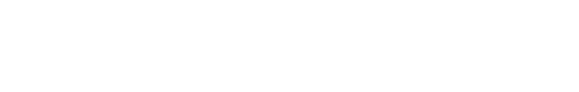 Bintelli logo