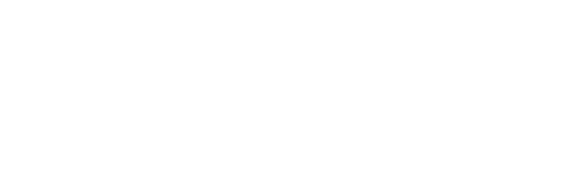ICON logo
